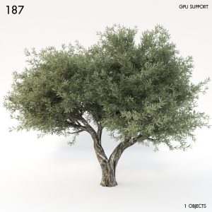 asset-3d-thumbnail