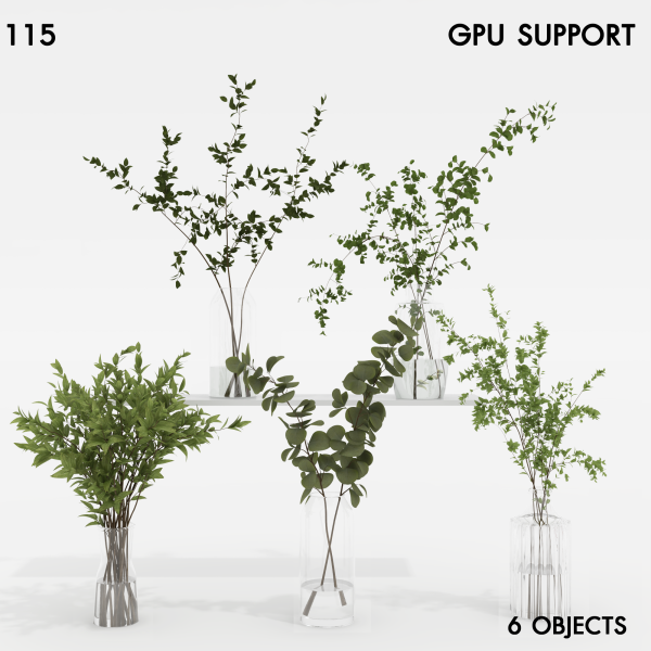 Indoor Plant Collection
