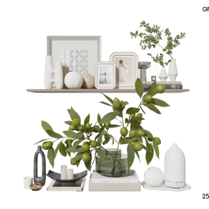 Decorative Shelf Set